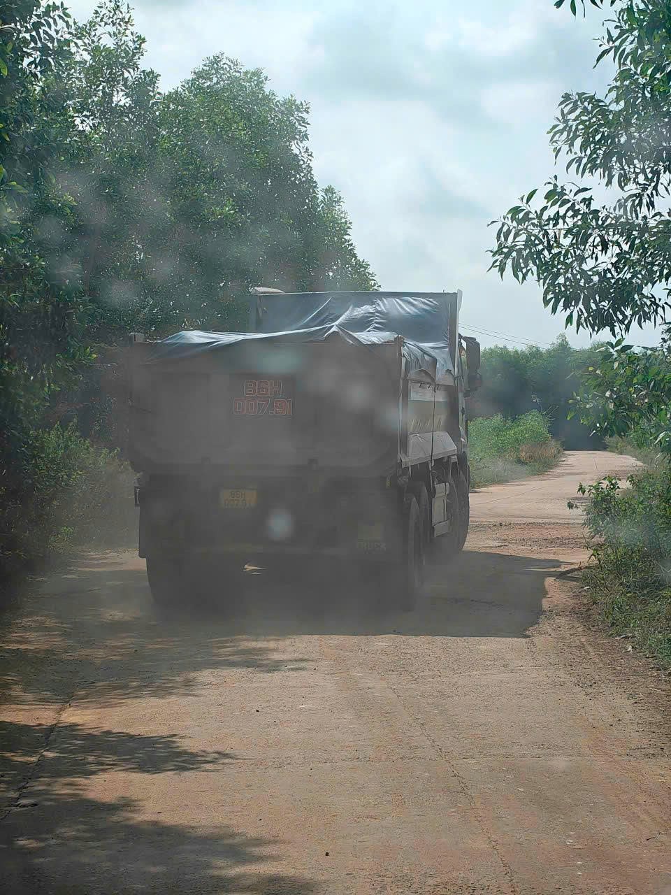 tra-tan-11-1778999685.jpg