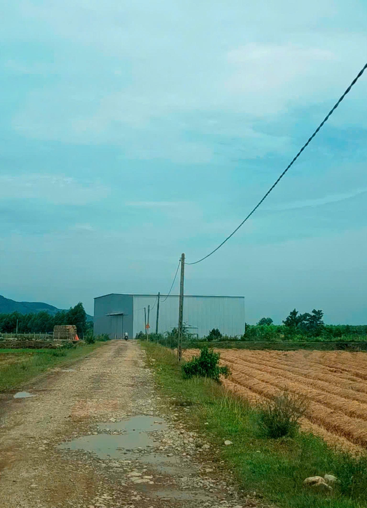 dong-kho-1-1779543808.jpg