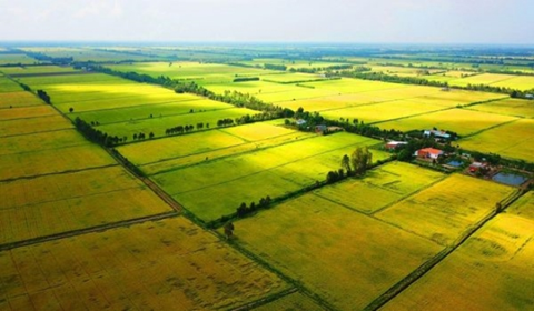 Luật đất đai năm 2024: Xác nhận tiếp tục sử dụng đất nông nghiệp của cá nhân khi hết thời hạn sử dụng đất