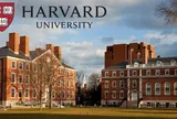 Giành được học bổng tiến sĩ Đại học Harvard: cựu học sinh chuyên văn Trường phổ thông Năng khiếu TP.HCM chia sẽ