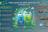 Xe sản xuất từ năm 2011 trở đi được thiết kế để sử dụng xăng E10