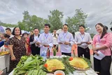 Ngày hội bánh xèo phường Bến Tre, giữ gìn phong tục Tết Đoan ngọ, lan tỏa giá trị văn hóa ẩm thực Nam bộ