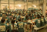 'Trại buôn người' lập kỳ tích, vươn lên top 1 phòng vé Việt 2026