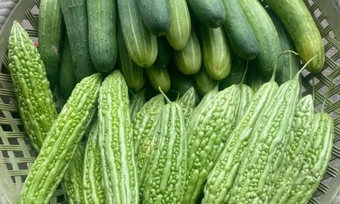 Thực phẩm có vị đắng: Lợi ích cho sức khỏe