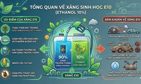 Xe sản xuất từ năm 2011 trở đi được thiết kế để sử dụng xăng E10