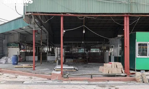 Cận cảnh lò mổ tuồn gần 300 tấn lợn bệnh vào trường học, chợ đầu mối ở Hà Nội