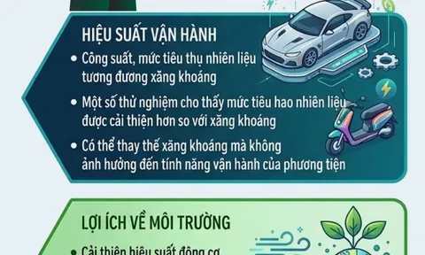 Các biện pháp khắc phục và bảo vệ động cơ cũ khi xăng sinh học
