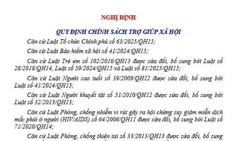 Nghị định 335/2026/NĐ-CP: Về chính sách trợ giúp xã hội