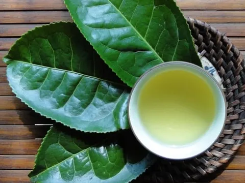 Uống chè xanh thế nào để tốt cho sức khỏe?