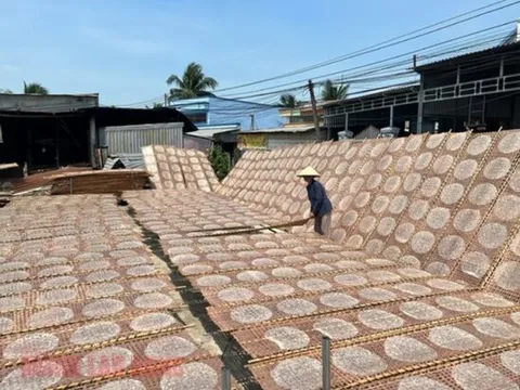 Nghề làm bánh tráng Thuận Hưng là Di sản văn hóa phi vật thể quốc gia