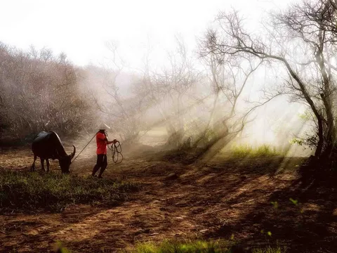 Mùa lá rụng đến sớm, Rú Chá mang vẻ đẹp đầy khác lạ