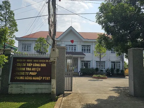 Phó bí thư Chi bộ Phòng Tư pháp… ăn trộm cây hoa giấy!