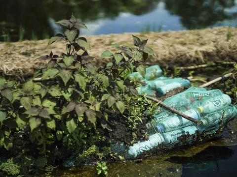 Mô hình trồng rau trên mặt nước độc lạ nhất Long An