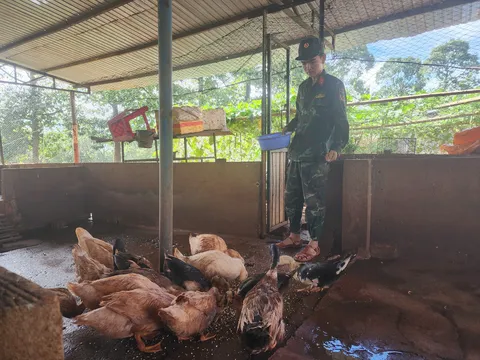 Bù Gia Mập – Bình Phước: Điểm sáng trong công tác tăng gia sản xuất nâng cao đời sống cán bộ, chiến sĩ