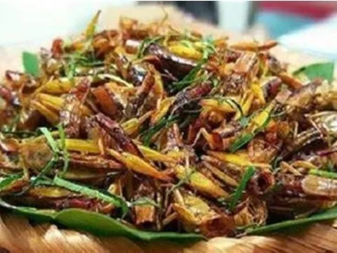 Người phụ nữ tử vong sau khi ăn 1 con châu chấu rang