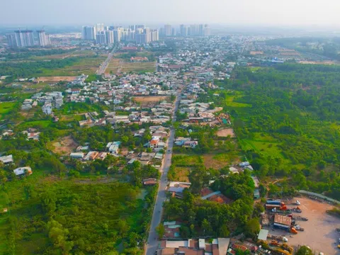 TP.HCM trình việc chuyển mục đích sử dụng đất lúa dưới 500ha để làm dự án