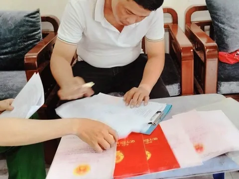 'Cò đất' bịa chuyện quen lãnh đạo, nhận tiền chuyển đổi đất rồi tráo sổ đỏ giả