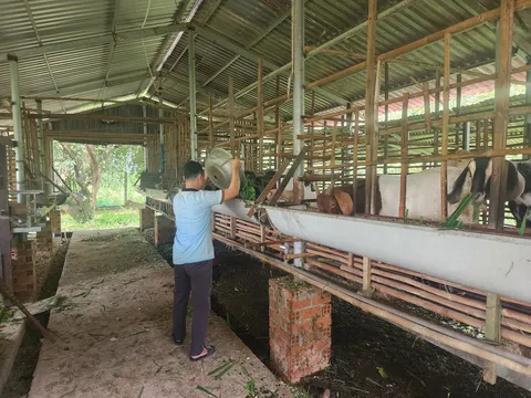 Bình phước Chung tay giúp đỡ người lầm lỗi tái hòa nhập cộng đồng