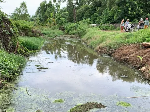 Bà Rịa - Vũng Tàu: Nhiều hộ dân kêu cứu vì trại nuôi heo xả thải