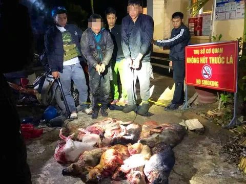 Bắt 2 đối tượng mang dao, kích điện đi trộm chó