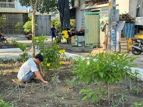 TP.HCM: Những bãi rác “biến” thành công viên, khu vui chơi