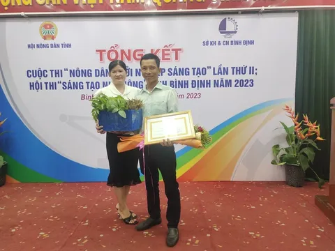 Trồng rau rừng đặc sản, một nông dân Bình Định chăm nhàn tênh, bán đắt hàng