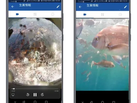 Nông nghiệp thông minh của Nhật Bản dựa vào trí tuệ nhân tạo, máy bay không người lái