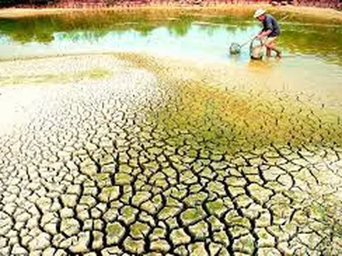 Sống chung với hạn, mặn: Phải trữ nước tự nhiên