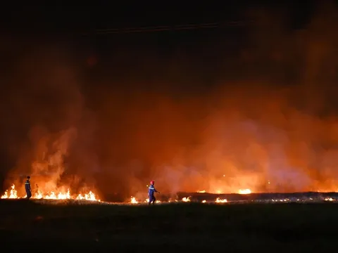 Long An: kịp thời khống chế đám cháy dưới lưới điện cao thế