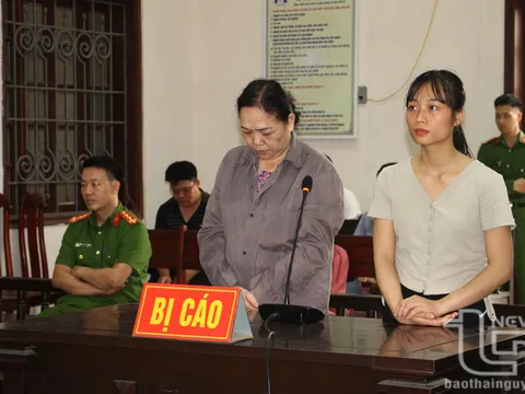 Thái Nguyên: Xét xử trưởng văn phòng công chứng gây hậu quả nghiêm trọng