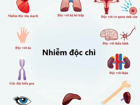 Thanh Hóa: Bé trai nguy kịch do ngộ độc chì trong thuốc nam
