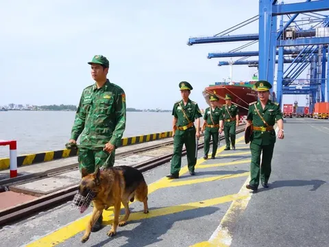Bộ đội biên phòng: 49 năm vì sự bình yên ở khu vực biên giới biển, cửa khẩu cảng trên thành phố mang tên Bác