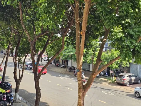 Đắk Lắk: Đến hạn mà chưa thể cung cấp hồ sơ dự án cây xanh cho Bộ Công an