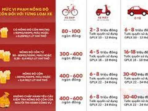 Bình Phước: Có nồng độ cồn, vẫn lái xe rồi tông chết người, cựu Phó Ban dân vận bị phạt tù