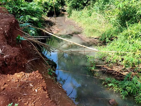 Xác minh nguyên nhân ô nhiễm đầu nguồn suối Mã Đà