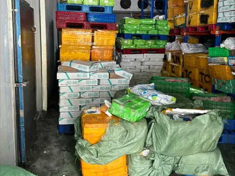 Thủ Đức (TP.HCM): Gần 8 tấn bao tử, dồi trường heo, trứng non không rõ nguồn gốc