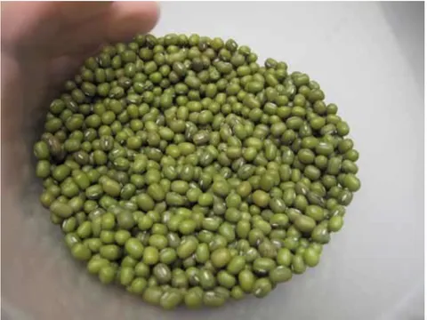Cách thải độc phủ tạng bằng thực phẩm và giấc ngủ hằng ngày cho cơ thể khỏe mạnh