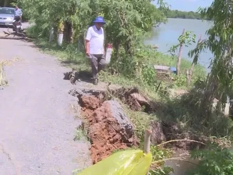 Long An: Sạt lở tuyến đê Vàm Cỏ Tây, chính quyền đã tạm thời cho dừng phương tiện lưu thông