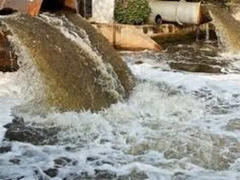 Bà Rịa - Vũng Tàu: Phạt doanh nghiệp xả nước thải chưa đạt chuẩn ra sông Dinh