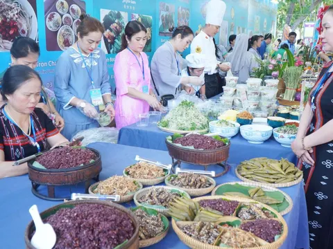 Festival Huế 2024: Khai mạc Lễ hội Ẩm thực chay