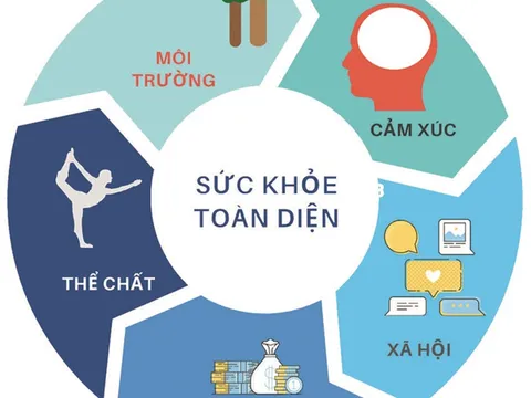 Phao câu-Bộ phận độc hại của gà được nhiều người thích ăn