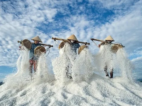 Vẻ đẹp lấp lánh của cánh đồng muối Hòn Khói