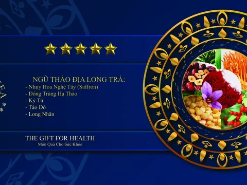 Các thí sinh Miss Business Global 2024 hào hứng nhận quà và trải nghiệm sản phẩm trà thảo mộc của Global Tea