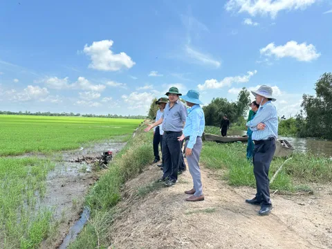 Long An: Người dân khu vực biên giới bị thiệt hại hoa màu sau mưa và lũ