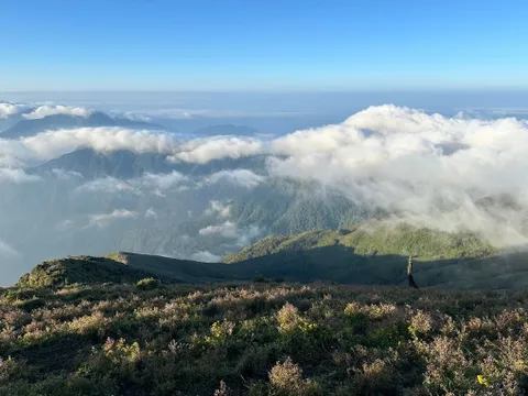Đỉnh Tà Chì Nhù (Yên Bái), nơi lý tưởng cho việc săn mây