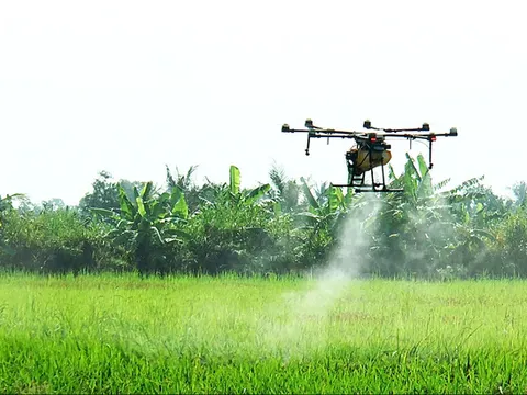 Miền Tây Nam Bộ: Trào lưu sử dụng thiết bị bay không người lái (drone) trong sản xuất nông nghiệp