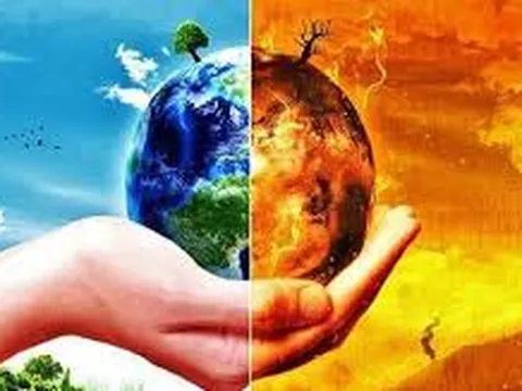 Biến đổi khí hậu ảnh hưởng điều kiện sinh trưởng, một số loài thực vật, động vật và cả người