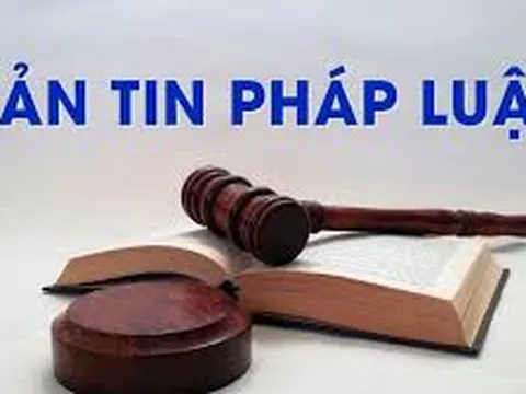 Từ Hợp đồng mua bán ô tô, nhân viên ngân hàng cấu kết nhóm lừa đảo chiếm đoạt hơn 4 tỷ đồng của ngân hàng