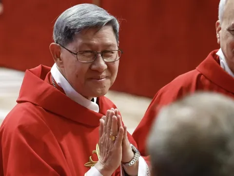 Cái nhìn tổng quát về các Hồng y cử tri tham dự Mật nghị bầu Giáo hoàng thứ 267