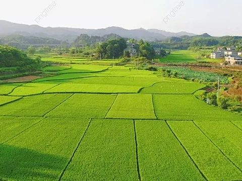 Sửa đổi, bổ sung Nghị định số 103/2024: Đề xuất giảm mạnh tiền sử dụng đất khi chuyển mục đích